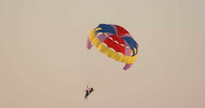 Parasailers Flying On Colorful Parachute In Sunset Or Sunrise Sky. Active Hobby