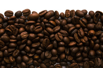 A wide strip at the bottom of many coffee beans