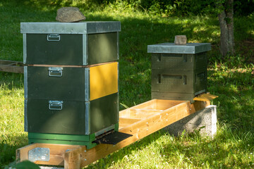 Bee hives in the sunlight on a summer day in Sweden