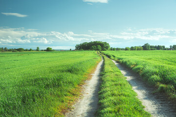 Dirt road through green fields