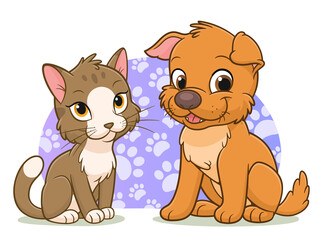 Cat and dog with background