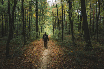 A man walking through a dark forest, Okszow, Poland