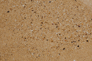 Surf and Sand background