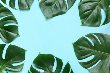 Tropical palm tree leaf on a blue background. Vibrant minimal fashion concept. Design with copy space