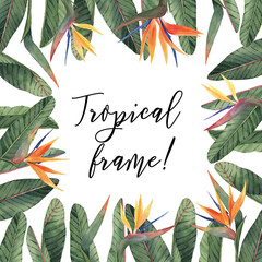 Frame with beautiful watercolor tropical flowers and leaves. Tropics. Realistic tropical leaves. Tropical flowers. - 361051673
