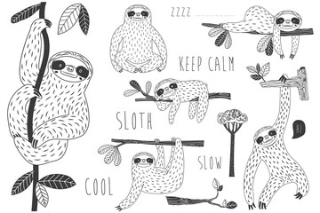 Sloth Hanging on Tree Doodle Collection set © Leeyenz