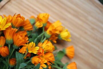 Calendula flower on the wooden table. Summertime on the village