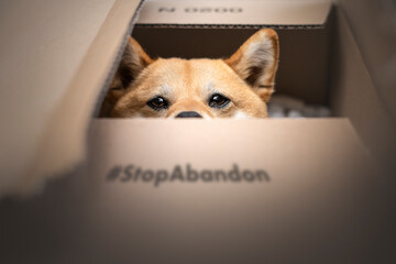 stop a l'abandon