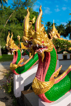 snakes in Buddhism are sacred animals, their other name is naga, reptiles guard the entrance to the temple, made of concrete and paints