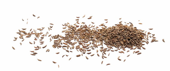Cumin, caraway seeds isolated on white background