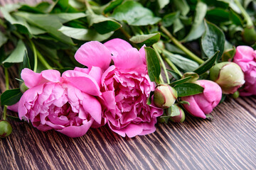 A bouquet of pink peonies on a dark wooden background flower