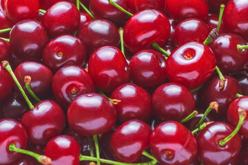Closeup side view of a bunch of ripe juicy red cherries with shallow depth of field. Selective focus. Red fruit berry summer texture background
