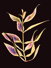 Butterfly leaves colored art.