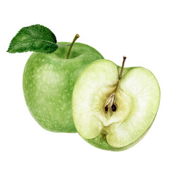 Granny smith green apple watercolor illustration isolated on white background