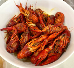 Mini Seafood Lobsters Fried in Chili Sauce