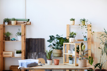 Background image of wooden table with potted plants and soil, home gardening concept, copy space