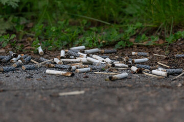 There are a lot of cigarette butts on the ground, copy space