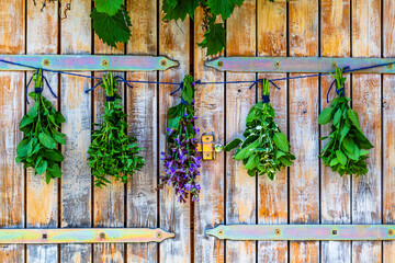 Fresh herbs prepared for drying.