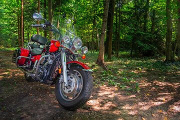 Fototapeta na wymiar Motorcycle cruiser stands on dirt road in sunny green forest. Walk ride on chopper in forest road