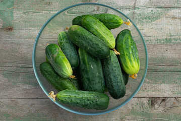 Fresh cucumbers from a home garden in a glass bowl on a wooden table on a natural background - growing vegetables.