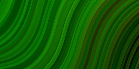 Light Green vector background with wry lines. Colorful abstract illustration with gradient curves. Best design for your posters, banners.