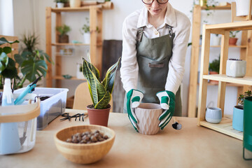 Cropped portrait of modern young woman potting plants while caring for home garden, copy space