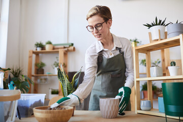 Waist up portrait of modern young woman potting plants while enjoying home gardening, copy space