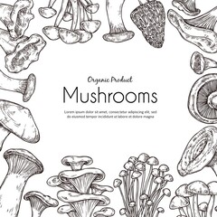 Mushroom frame. Vegetarian food, sketch autumn forest plants. Retro healthy raw, cooking ingredients champignon truffle vector background. Autumn sketch vegetarian and organic mushrooms illustration