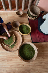 Woman hands over green raw pepper and separates black pepper from red for further drying. Black...