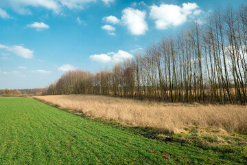 Obraz premium Spring shot with a view of rural fields, meadows and trees