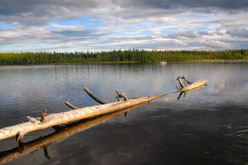 Picturesque landscape with log on the lake. Keret river, Republic of Karelia, Russia.