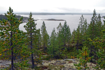 Karelian landscape. Kandalaksha Gulf of White Sea. Sidorov island, Republic of Karelia, Russia.