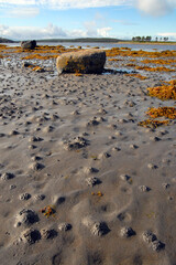 Low tide landscape. Kandalaksha Gulf of White Sea. Republic of Karelia, Russia.