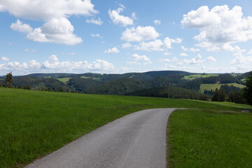 Im Schwarzwald