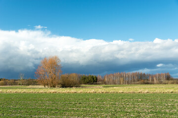 Wonderful cloud on blue sky, colorful trees and green field