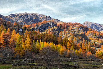 autumn alpine panorama