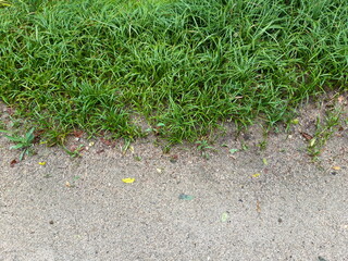  half and a half nature texture image 21
