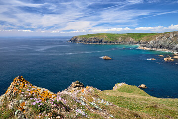 Fototapeta premium Elevated view towards Predannack Head on the Lizard Peninsula, Cornwall. Taken on a sunny day in early summer.