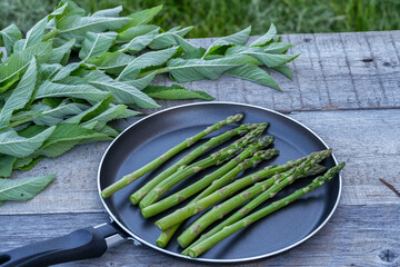 Fresh green asparagus spears in a pan and fresh mint leaves on wooden table outdoor.