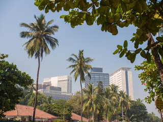 Fototapeta na wymiar High-rise building in Mumbai. India.