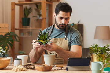 Portrait of bearded young man watching videos online while potting dracaena and succulents and...
