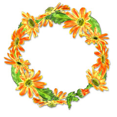 Creative composition with the image of garden flowers. A wreath of yellow daisies on a white background. Close up. Design for printing. Seamless pattern for Wallpaper or textiles.