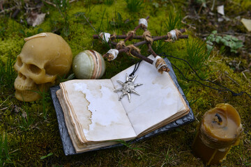  Open withc diary with skull, pentagram and crystal ball in the garden. Esoteric, gothic and occult...