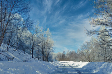 【霧氷に囲まれた雪道】ビーナスラインの冬景色