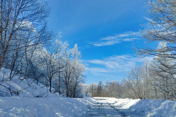 【霧氷に囲まれた雪道】ビーナスラインの冬景色