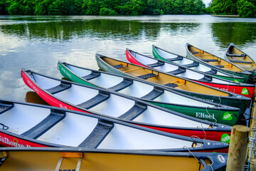 Colourful canoes and kayaks moored and tied to a wooden pontoon in Salhouse Broad in the Norfolk...
