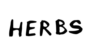 Hand drawn vector illustration of herb word. Doodle lettering element. Spring and summer symbol. Contour otline drawing of simple letters