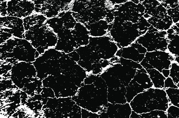 Obraz premium Dry soil texture. Cracks background. Grunge texture. Grunge black and white vector overlay. Grungy grainy surface.