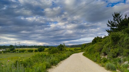 Horizontal shot of a beautiful natural landscape of a path on a hill under puffy clouds