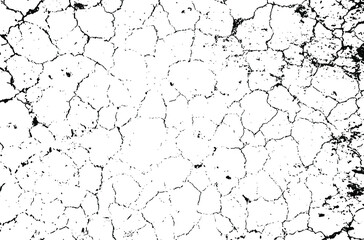 Dry soil texture. Cracks background. Grunge texture. Grunge black and white vector overlay. Grungy grainy surface.